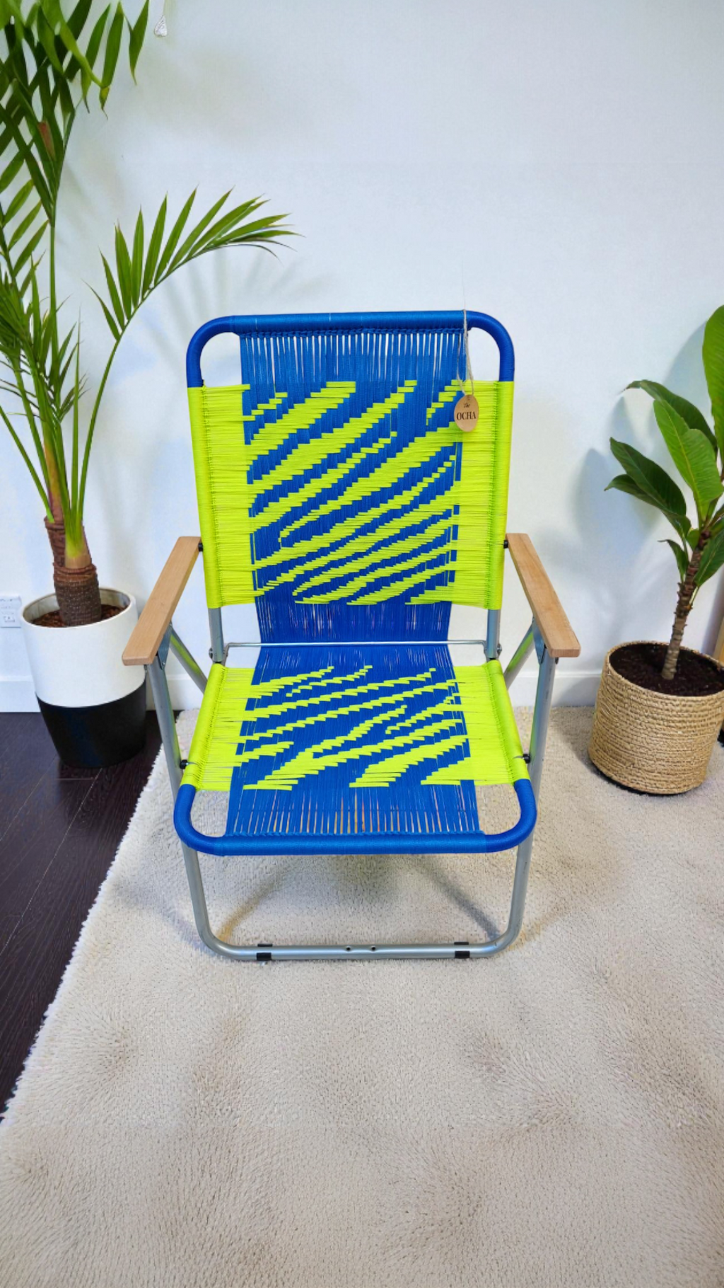 Zebra 2